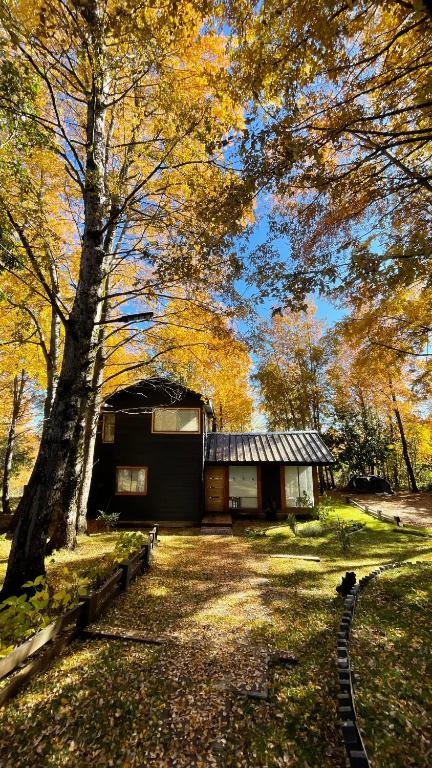 RecintoDaben Recinto Ñuble camino Termas de Chillan的院子中间有树的房子