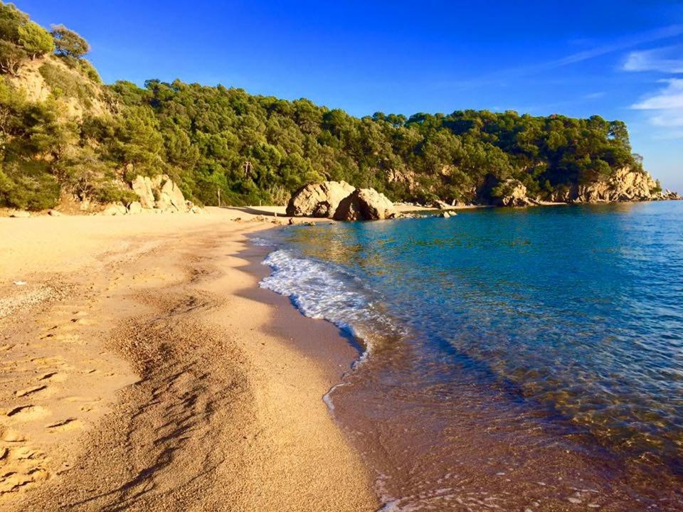 a sandy beach with rocks in the water at Private Apartments Cala Canyelles in Lloret de Mar