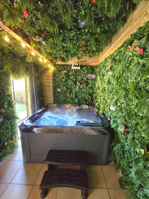 un jacuzzi dans une pièce avec des plantes dans l'établissement Maison avec Spa et Piscine, à Vieille-Toulouse