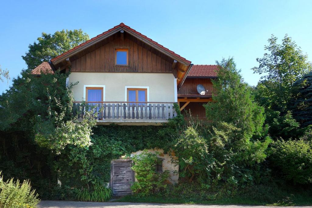 Bauernhof Kronsteiner - Two-Bedroom Apartment With Terrace - Annex