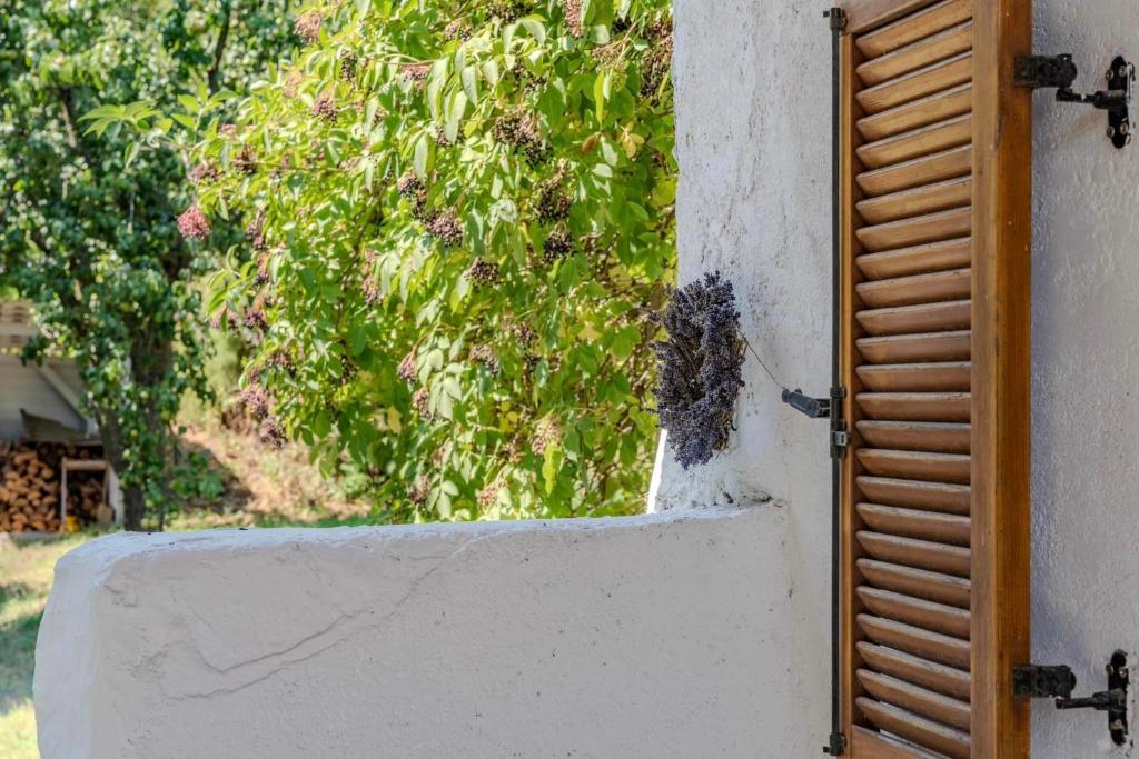 Fotografia z galérie ubytovania Szívecske Ház - Hegymagas v destinácii Hegymagas