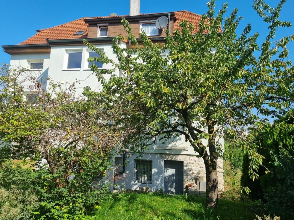 Zahrada ubytování Ferienwohnung 2 mit 3 Schlafzimmer und Garten