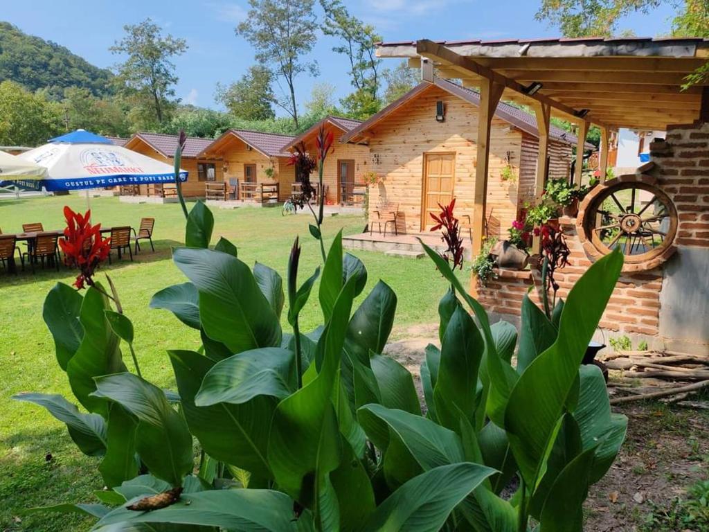 Zahrada ubytování CAMPING THOBIAS