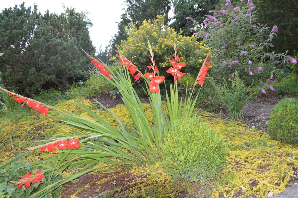 A garden outside Landidyll-Hotel Nudelbacher