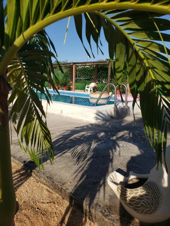 een schaduw van een palmboom naast een zwembad bij Villa del Sol in Barra de Potosi