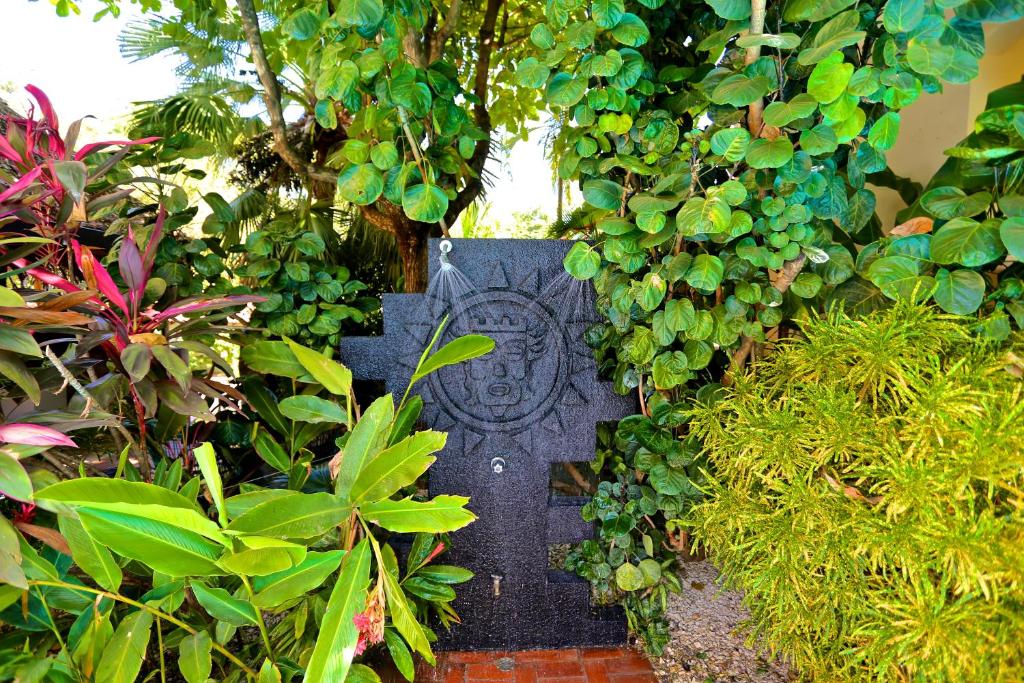 Villa del Sueño photo