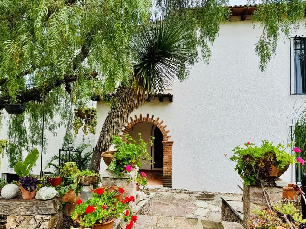 a house with flowers and plants in front of it at La Casa Grande in Guanajuato