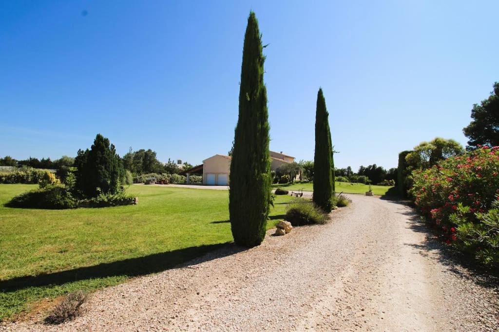 une route de gravier avec des arbres et une maison au loin dans l'établissement Domaine de Malirel, à Cavaillon
