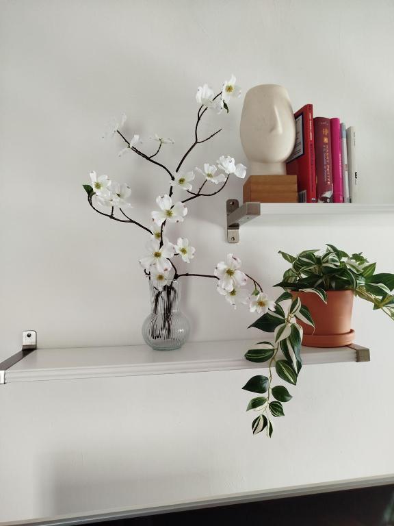 Fotografie z fotogalerie ubytování Casa Lilly v destinaci Omegna