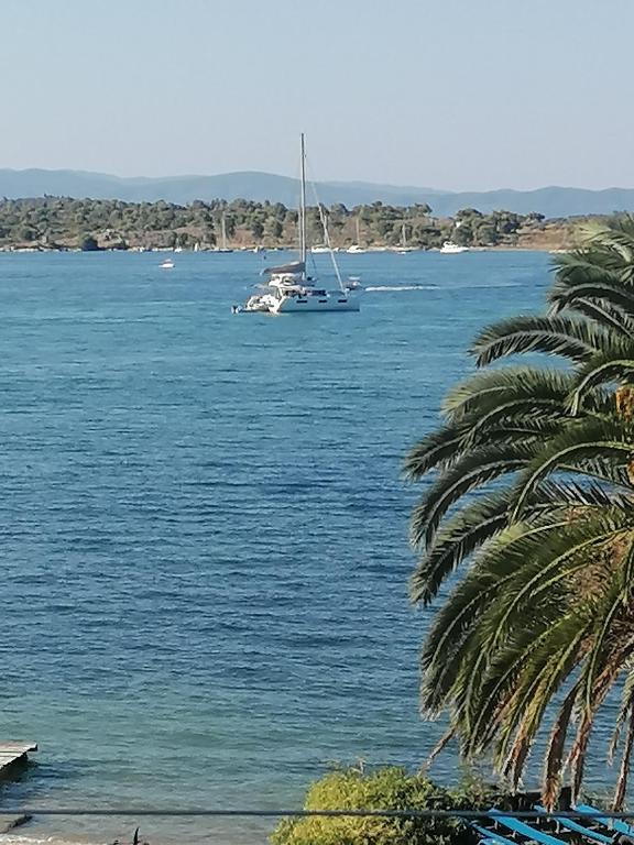 a sailboat in a large body of water with a palm tree at Five shades of blue in Vourvourou