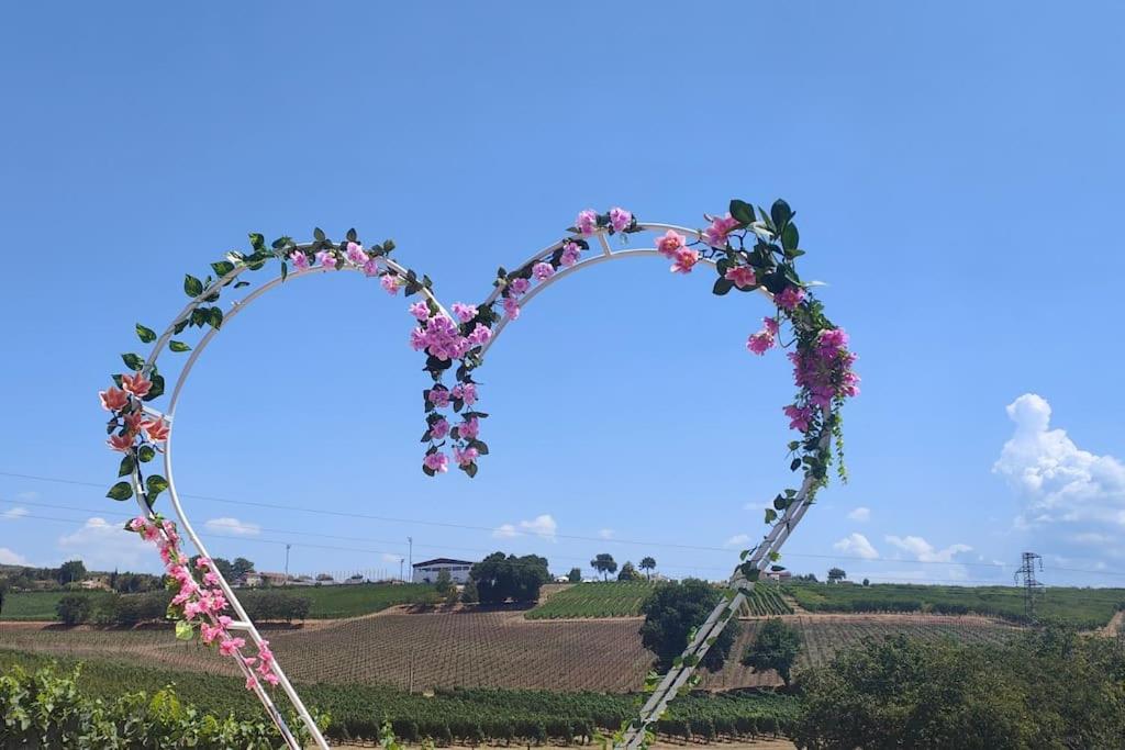 Fotografie z fotogalerie ubytování GioiaVitae - Bed-in-Botte - Dormire in vigna v destinaci Luogosano
