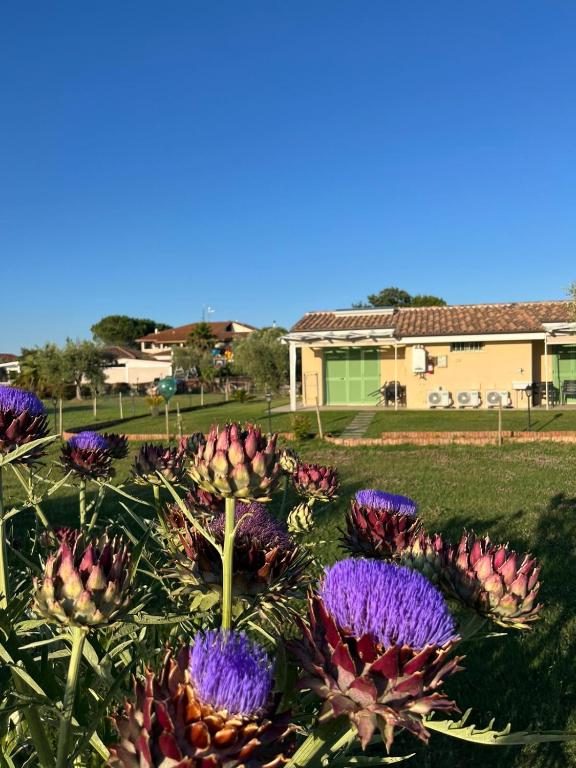Zahrada ubytování Il giardino di nunzia