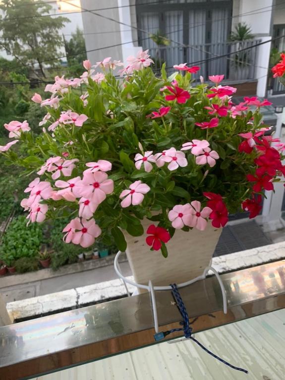 Zahrada ubytování Thủ Đức Home - Nơi nghỉ ngơi như ở nhà, ấm áp tình thân