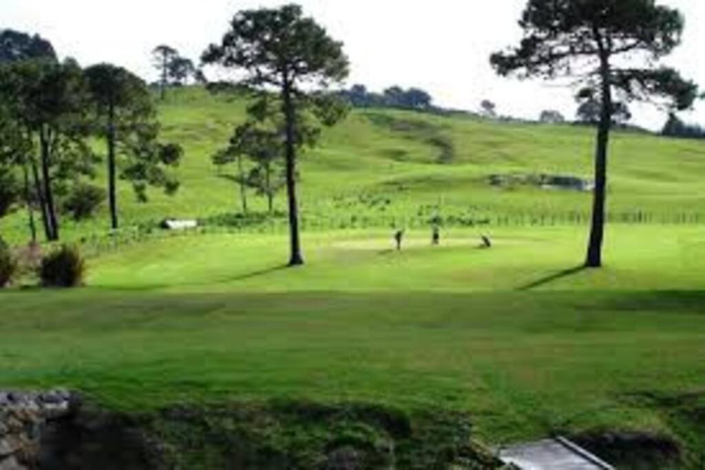 Oceanside Cottage - Hot Water Beach - Resim 11