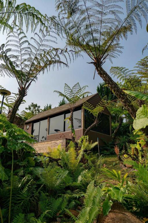 Bungalow Superior