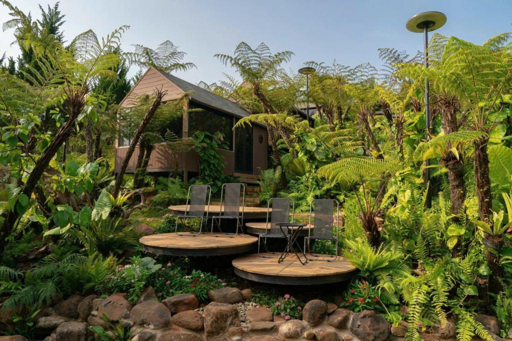 Bungalow Superior