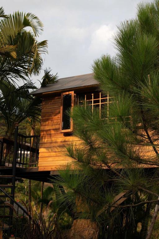 Bungalow on Tree