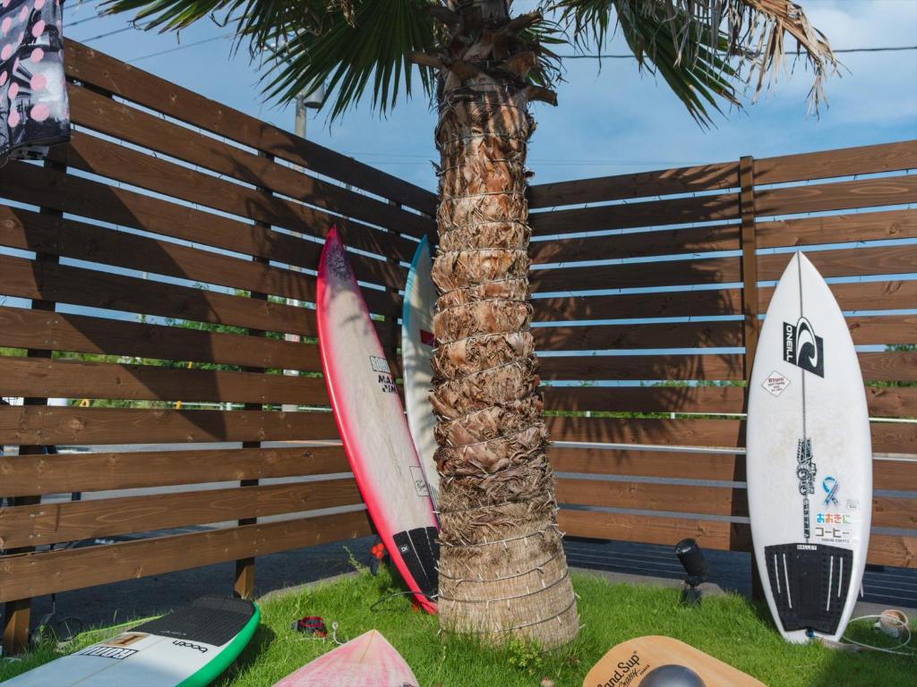 two surfboards leaning against a fence next to a palm tree at Seage Torami Coastside in Ichinomiya