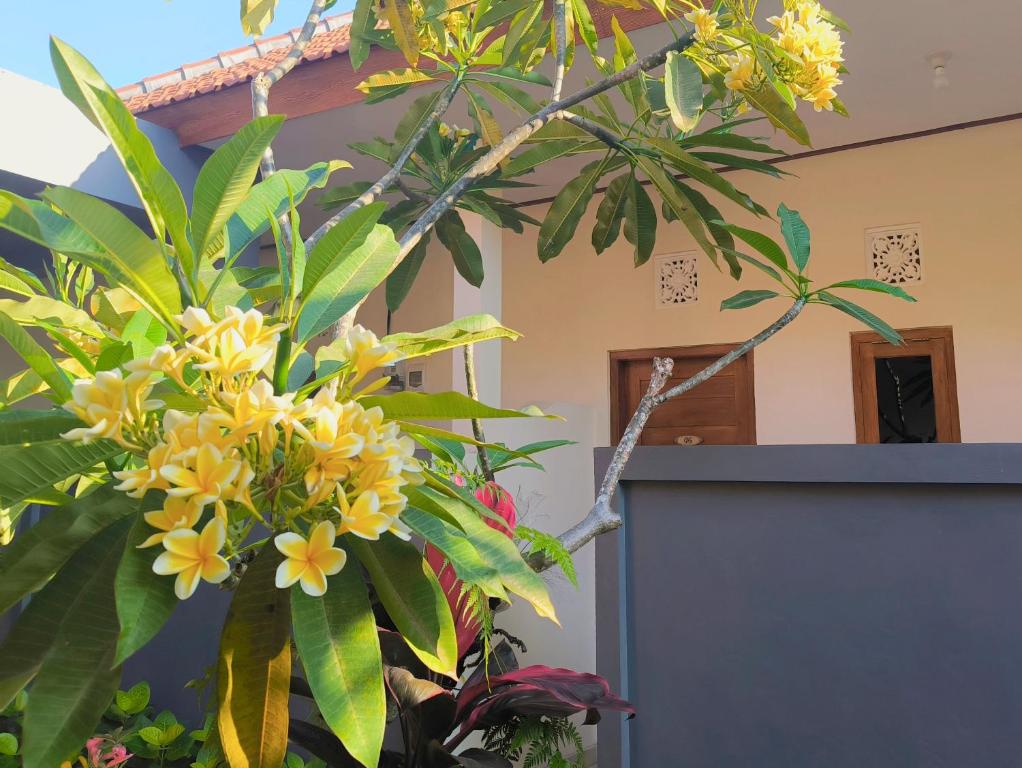 Guest House 88 Pandawa - 3