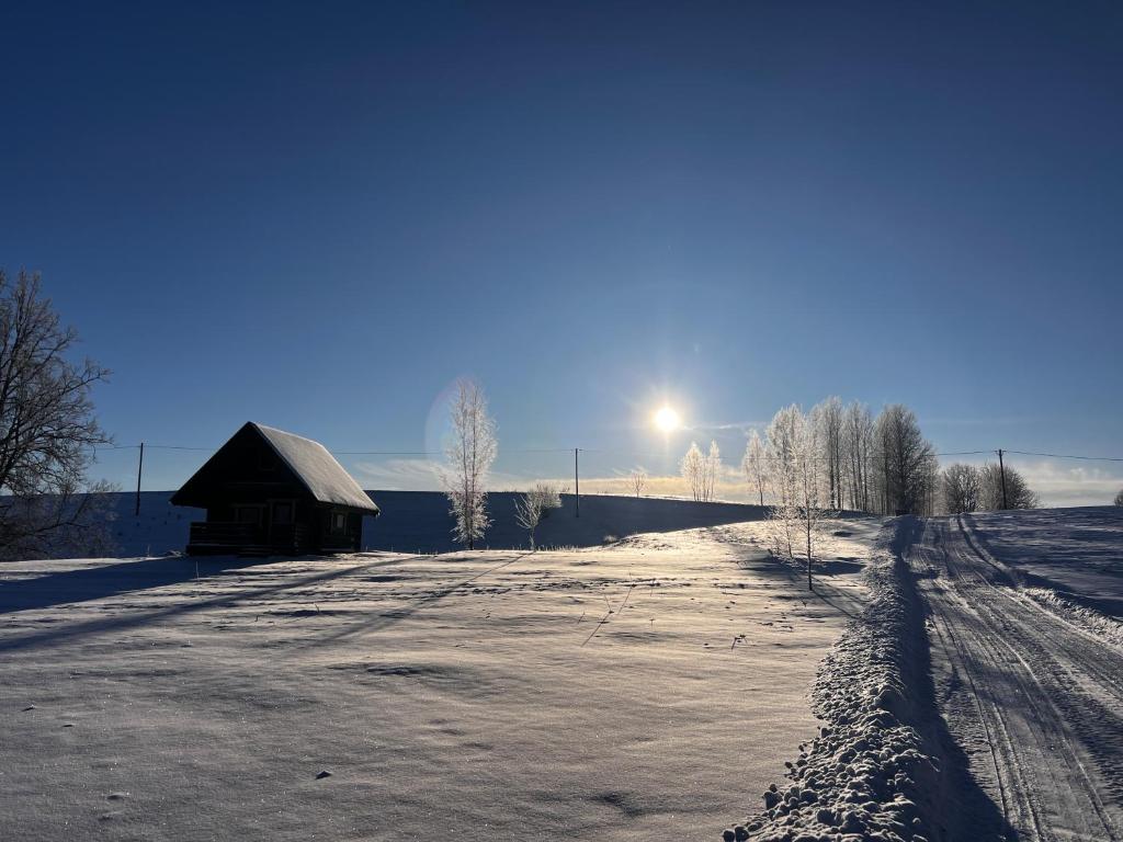 Lakeside cabin with saunas, hot-tub options v zimě