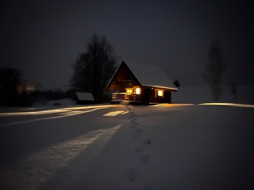 Lakeside cabin with saunas, hot-tub options v zimě