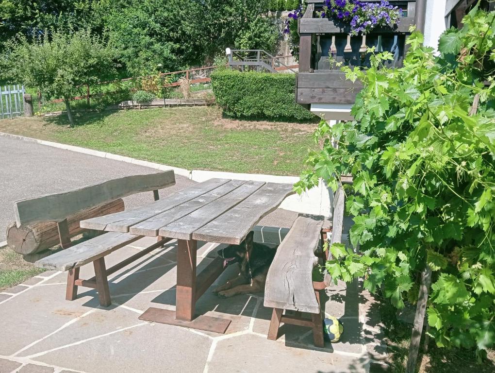 Pozza Appartamenti - İki Yatak Odalı Daire - Balkonlu (6 Yetişkin)