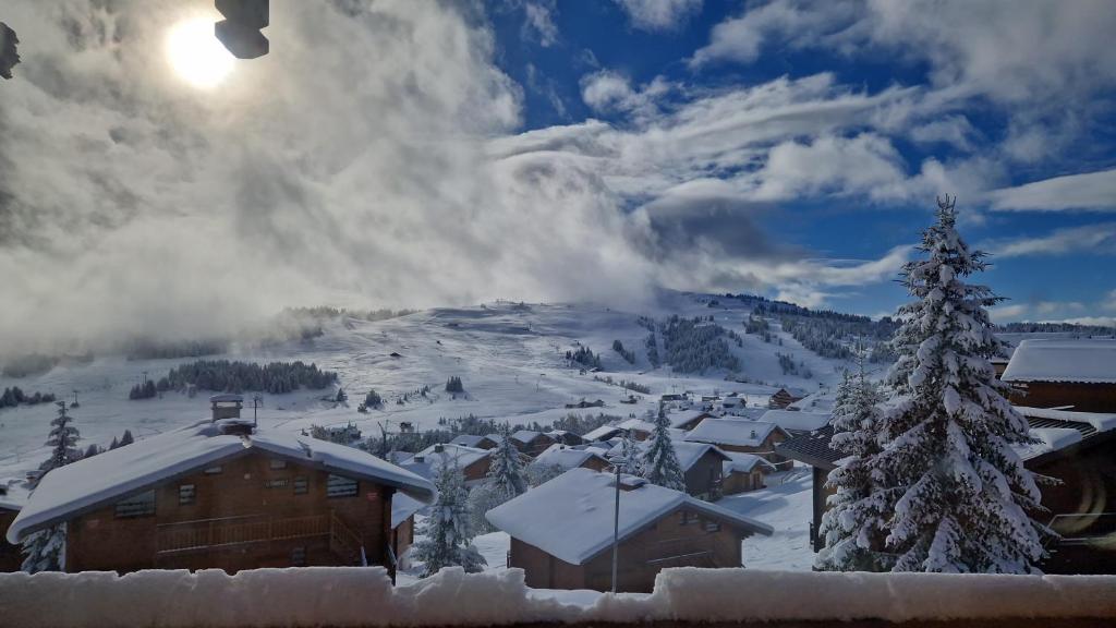 オトリュスにあるAppartements Les Saisies Hautlieuxの雪山の雪に覆われた村