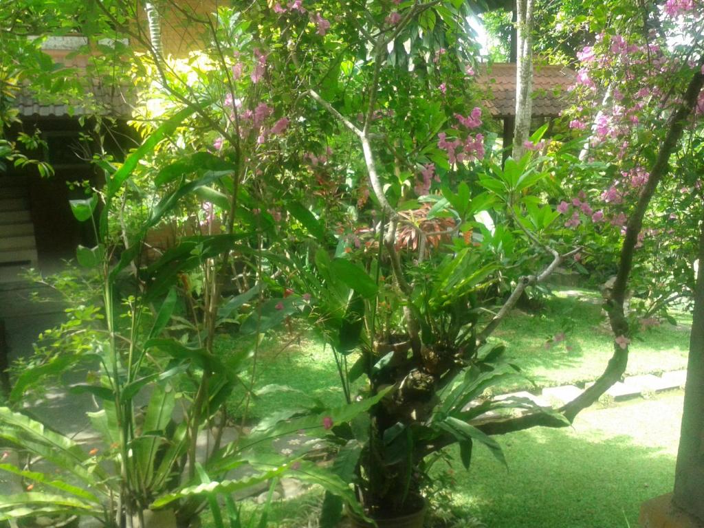 Zahrada ubytování Indraprastha Ubud Home Stay