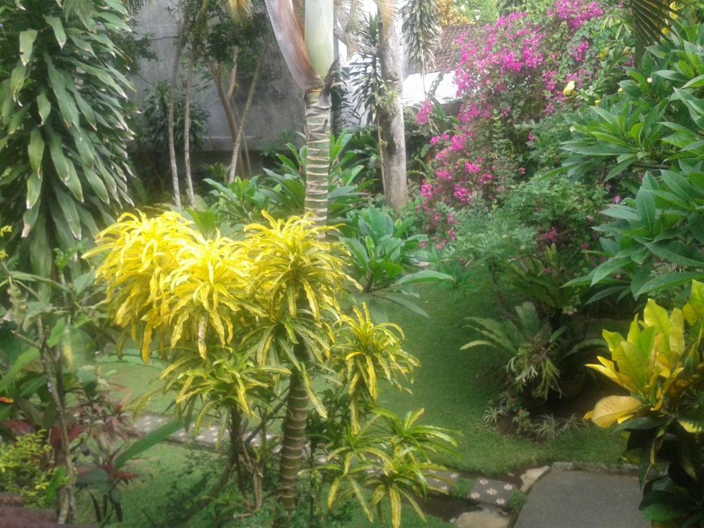 Zahrada ubytování Indraprastha Ubud Home Stay
