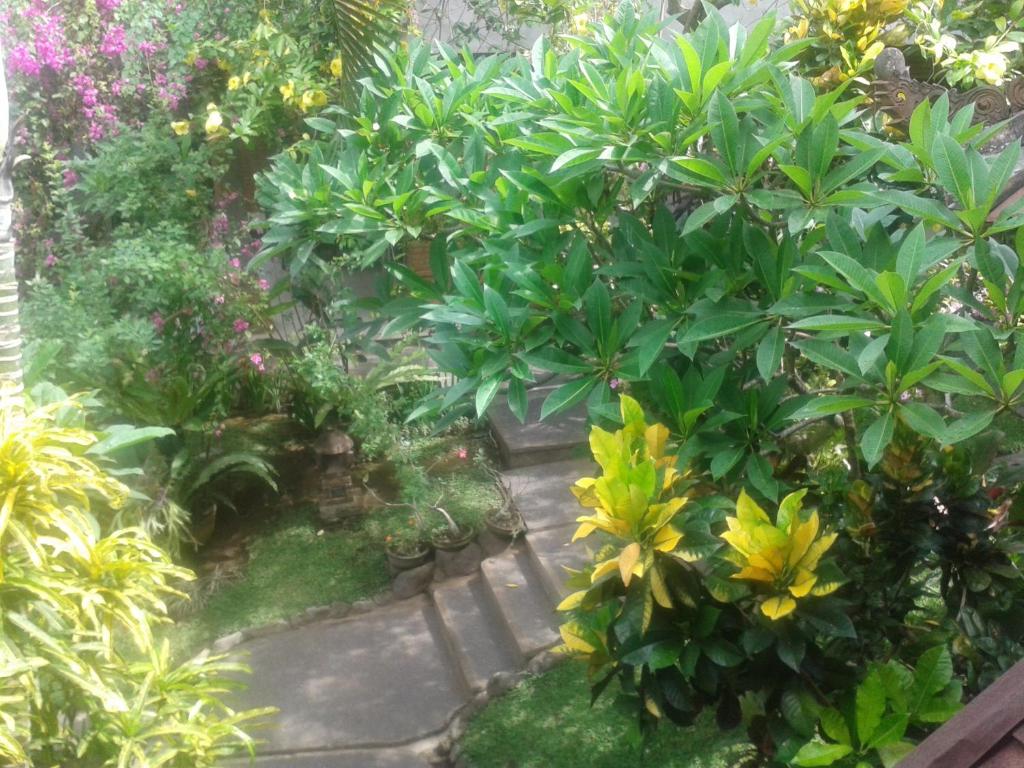 Zahrada ubytování Indraprastha Ubud Home Stay