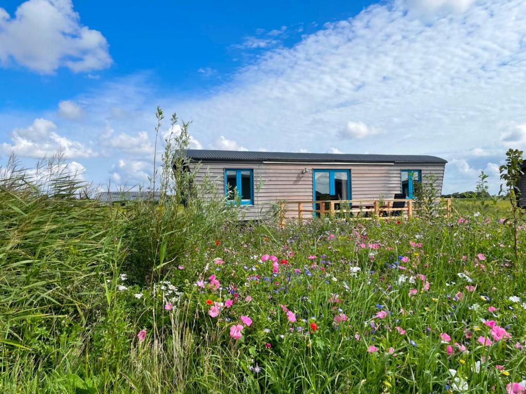 Zahrada ubytování Schäferwagen Tiny House auf dem Friesenhof