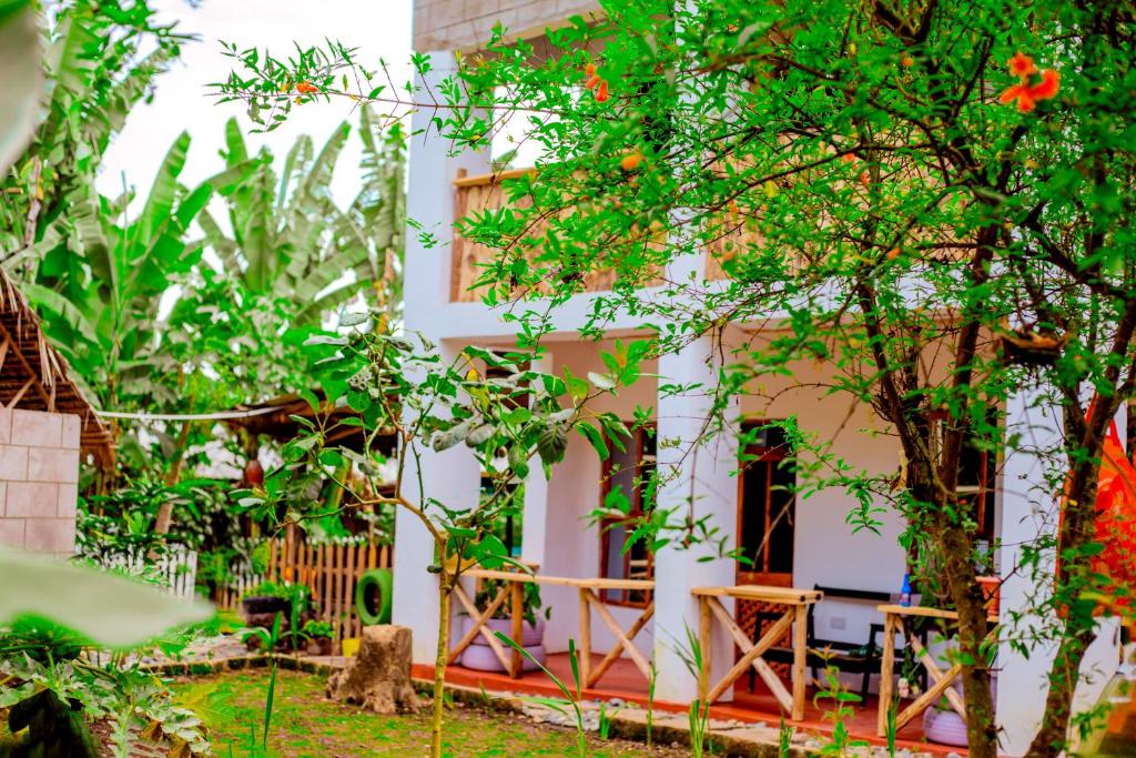 Zahrada ubytování Arusha Jua Eco Home- on coffee farm