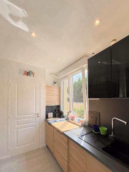 une cuisine avec un évier et un plan de travail dans l'établissement Le cocon, studio de 30m2 avec jardin et parking privatifs près de paris et Disney, à Fontenay-sous-Bois