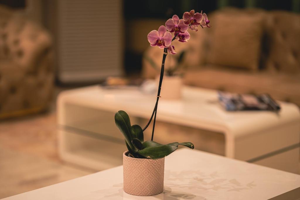 Posezení v ubytování Hotel Dorna