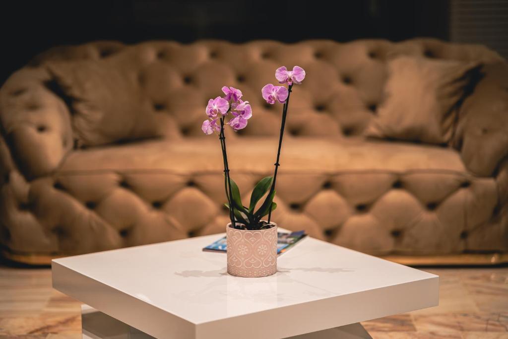 Posezení v ubytování Hotel Dorna