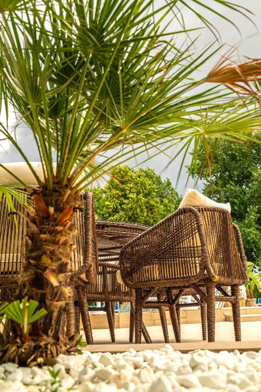 Zahrada ubytování Hotel Dorna