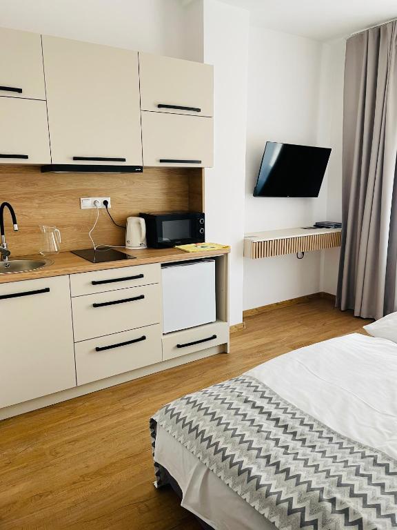 Kuchyň nebo kuchyňský kout v ubytování Hotel Slanica