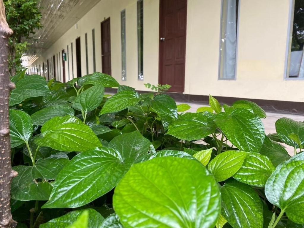 Sasi Nonthaburi Hotel - Бунгало