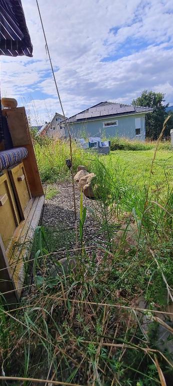 Camping im Igluzelt im Privatgarten mit warmer Lutzmatratze und Komfort Schlüchtern Main-Kinzig - Tente