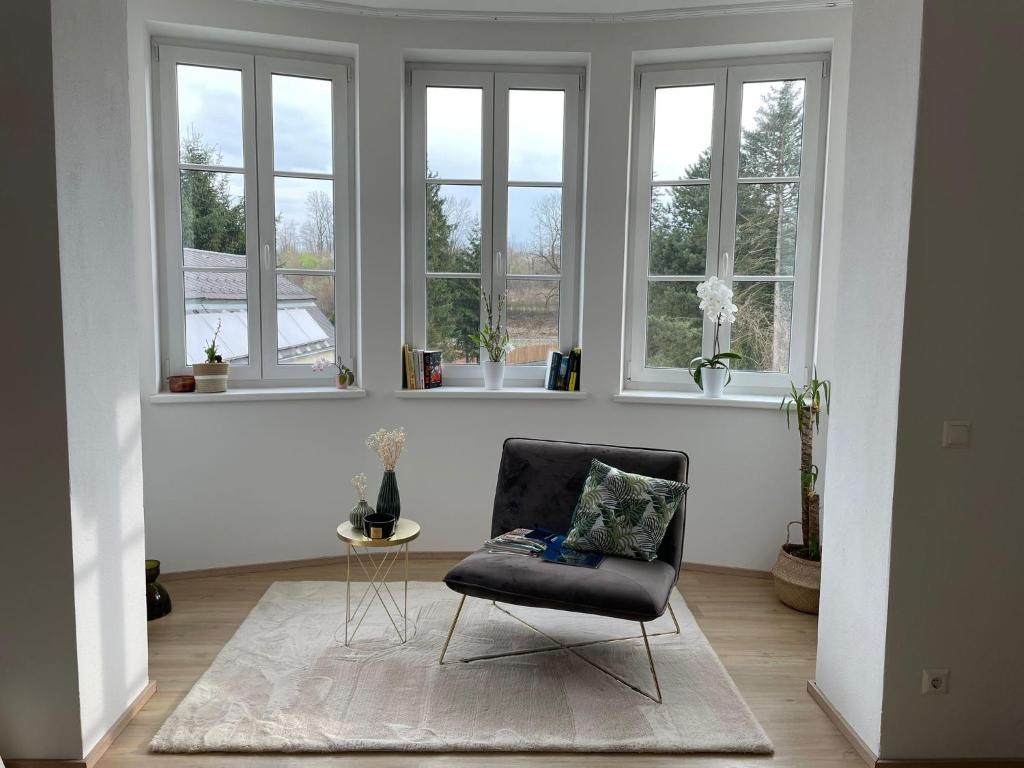 a living room with a chair and windows at Apartment Hafingervilla in Sankt Pölten