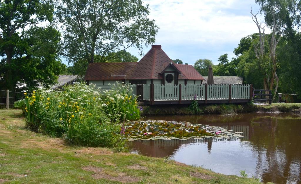 a house with a pond and flowers in front of it at Silver Birch Cabin, Bulbury Farm in Lytchett Matravers
