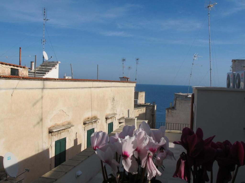 Zdjęcie z galerii obiektu Casa Torre Di Mactheus Petraro w mieście Giovinazzo