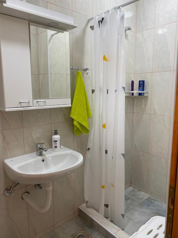 Koupelna v ubytování Apartmani Jelica FREE PARKING