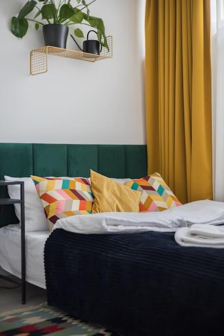 Specious Studio with Park View by ECRU WWA23 - One-Bedroom Apartment