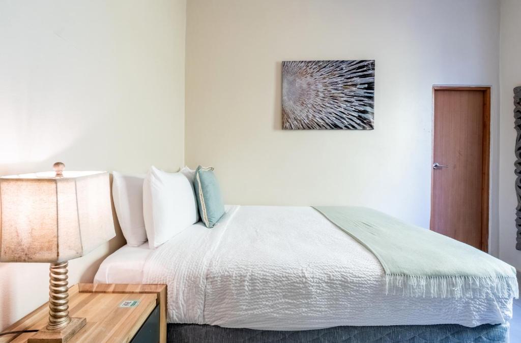 La Mona Loiza Apartment Complex by Stay with Bear - Stüdyo