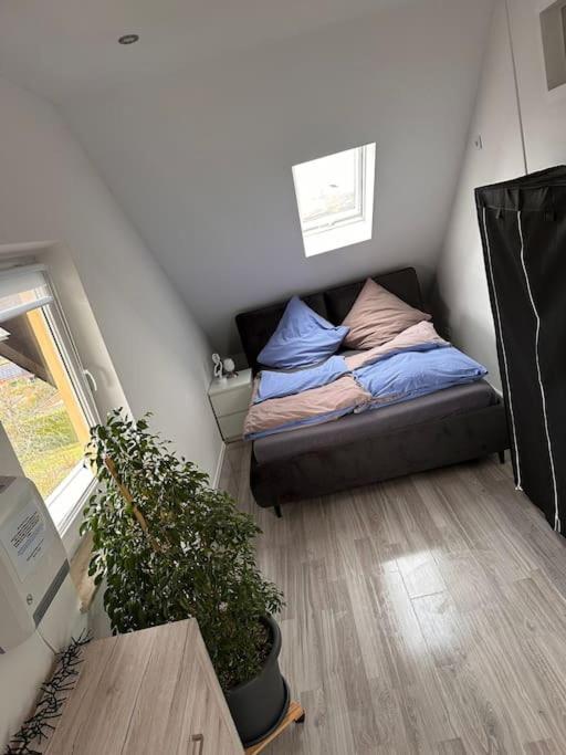 a small bedroom with a bed and a potted plant at Panoramablick in Litzendorf in Litzendorf