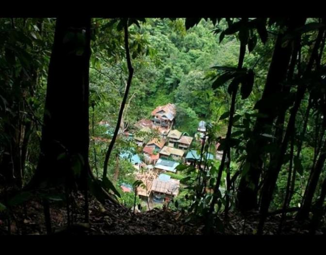Φωτογραφία από το άλμπουμ του Bukit lawang free transpot free room σε Timbanglawang 1