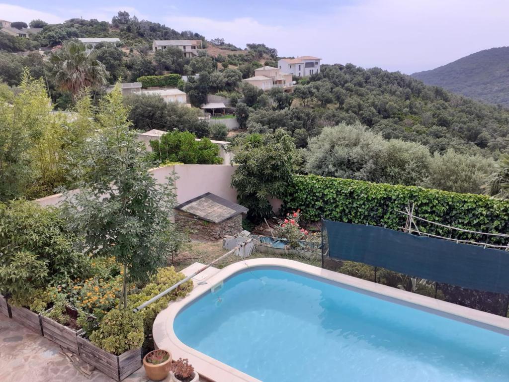 una piscina en el patio de una casa en Chambre d'hôte partine cap Corse, en Santa-Maria-di-Lota