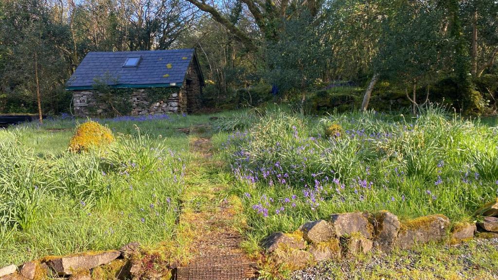 Zahrada ubytování Sligo Forest Retreat