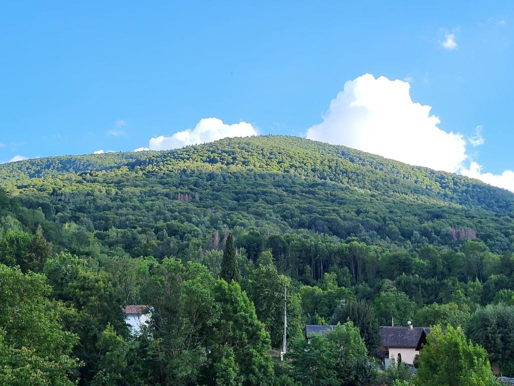 une colline verdoyante avec des arbres et une maison sur elle dans l'établissement Reposant et Dépaysant, à Lassur